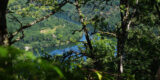 lac de Castelnau Lassouts en aveyron