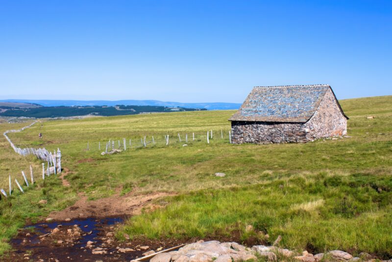 plateau de l'Aubrac